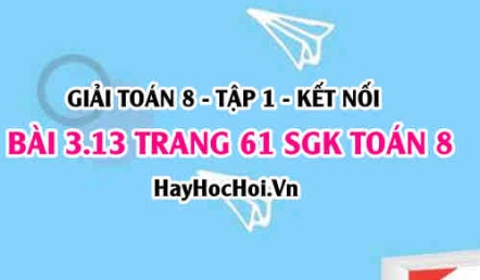 Giải bài 3.13 trang 61 Toán 8 Tập 1 SGK Kết nối tri thức